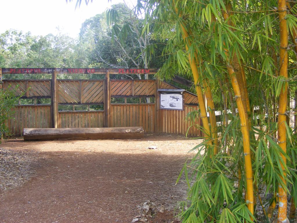 Lake Eacham Tourist Park & Cabins Екстер'єр фото