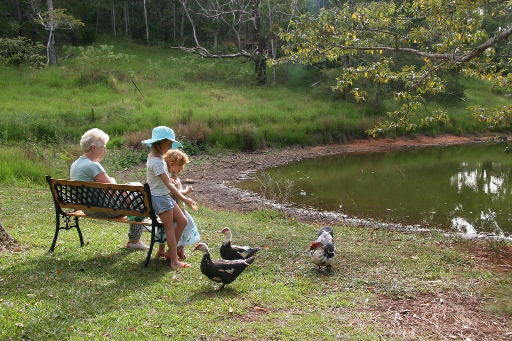 Lake Eacham Tourist Park & Cabins Екстер'єр фото