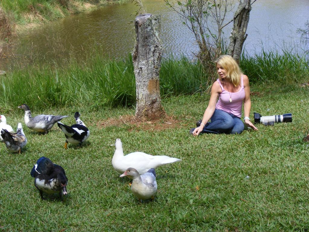 Lake Eacham Tourist Park & Cabins Екстер'єр фото