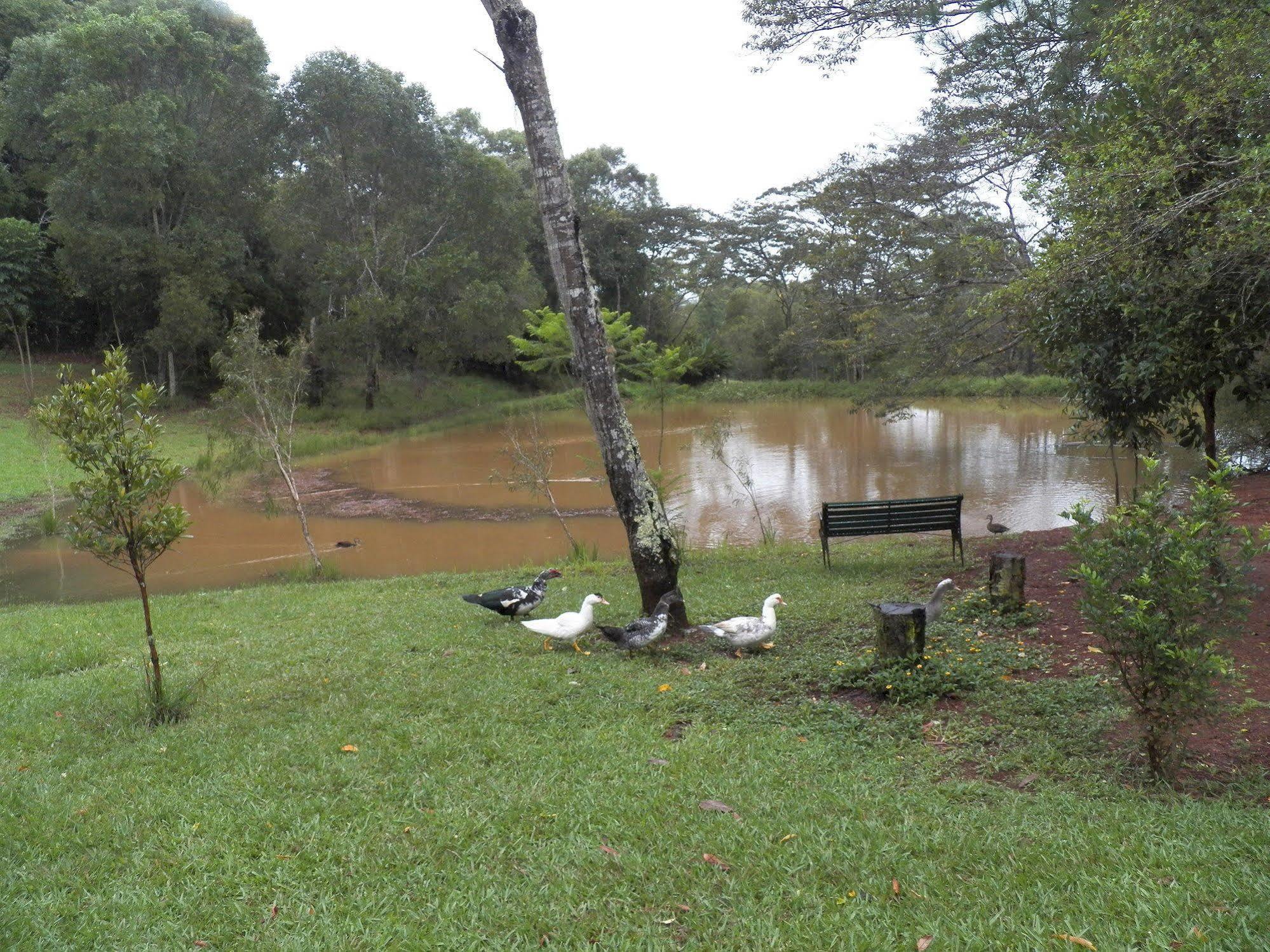 Lake Eacham Tourist Park & Cabins Екстер'єр фото